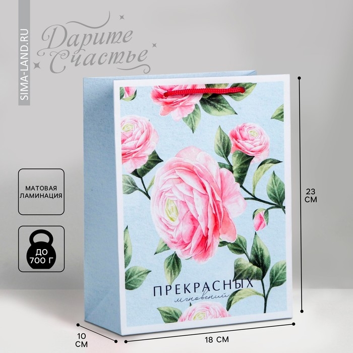 Пакет подарочный ламинированный вертикальный, упаковка, &laquo;Прекрасных мгновений&raquo;, MS 18 х 23 х 10 см