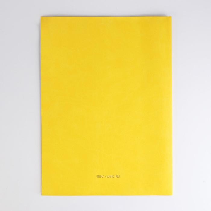 Папка для документов &laquo;Docs&raquo;, 8 файлов А4