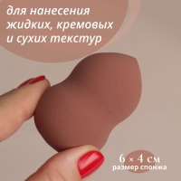Спонж для макияжа &laquo;Амфора&raquo;, 6 &times; 4 см, увеличивается при намокании, цвет МИКС