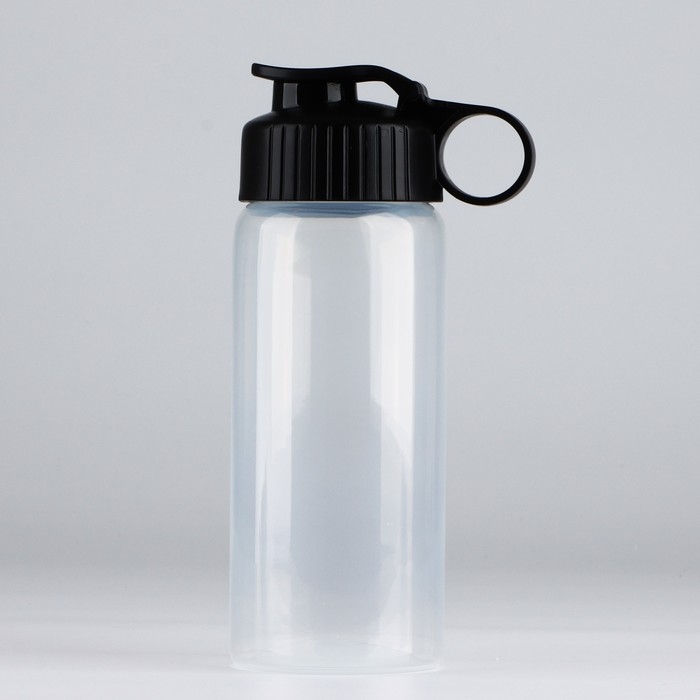 Бутылка для воды &laquo;Вид 1&raquo;, 450 мл