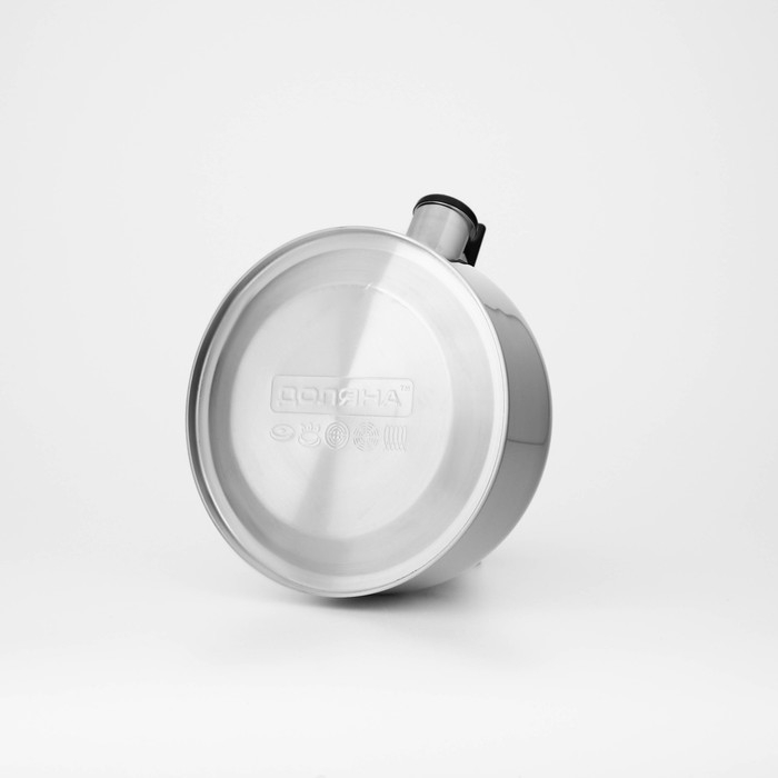 Чайник со свистком из нержавеющей стали Доляна &laquo;Чёрная ночь&raquo;, 2 л, индукция, цвет хромированный