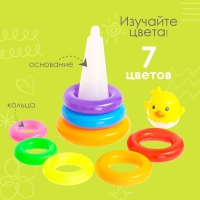 Пирамидка &laquo;Цыплёнок&raquo;, 8 колец