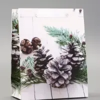 Пакет подарочный ламинированный "Зимняя пора" 18 х 23 х 10 см