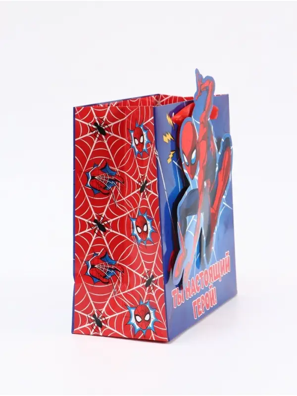 Пакет подарочный &laquo;Супергерой&raquo;, 22 &times; 22 &times; 10 см