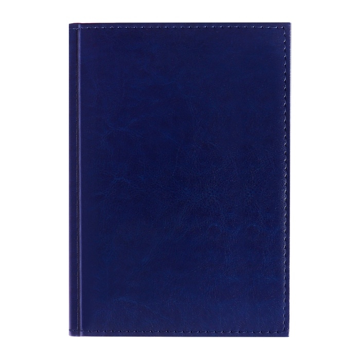 Ежедневник недатированный А5, 160 листов "Небраска", обложка искусственная кожа, перфорация углов, синий