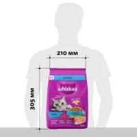 Сухой корм Whiskas для кошек, лосось, подушечки, 1,3 кг