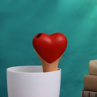 Ороситель &laquo;Сердечко&raquo;, 14&times;4.6см, цвет МИКС, набор 4 шт.