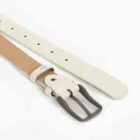 Ремень жен 05-01-03-01, Март2510, 2,8*0,3*110 см, Винт, пряж тем.металл, 1 прокол,