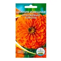 Семена цветов однолетние Цинния Оранжевый король 0,2