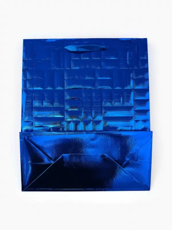 Набор подарочных пакетов &laquo;Новый год&raquo;, 2 шт,  25,4 &times; 30,5 &times; 12,7 см