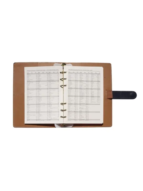 Органайзер на кольцах, C6, с хлястиком, 80л, линия, к/зам, Синий