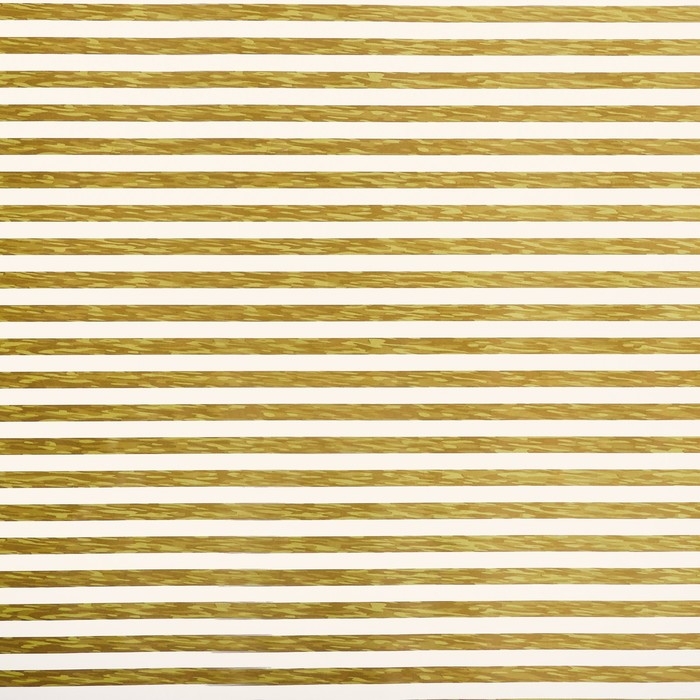 Бумага упаковочная глянцевая двусторонняя "Тропики", 100 х 70 см