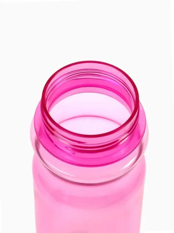 Бутылка для воды пластиковая "Кошка" 500 мл