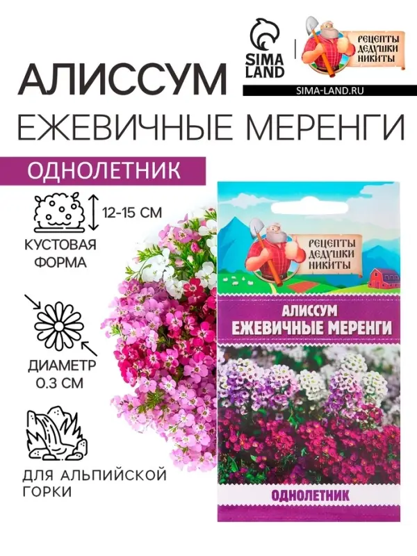 Семена цветов Алиссум &laquo;Ежевичные меренги&raquo;, 5 шт.
