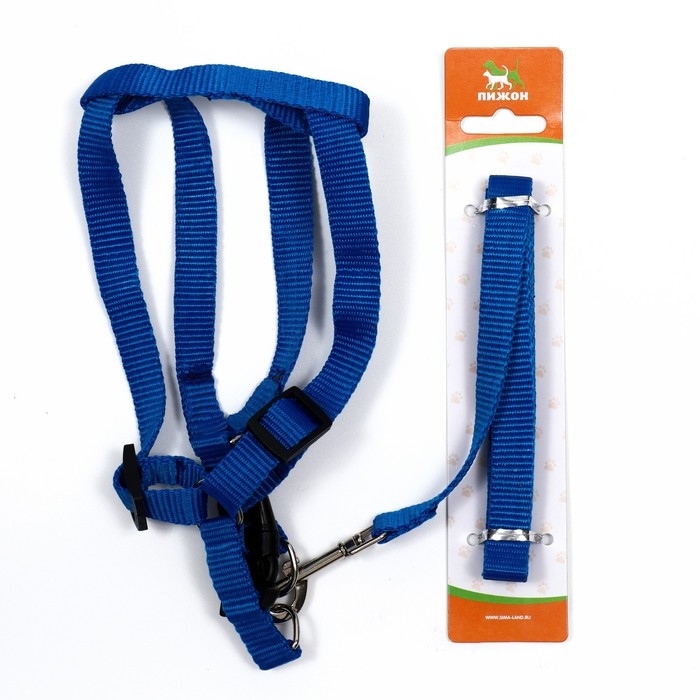 Комплект &laquo;Базис&raquo;, поводок 120&times;1.5 см, шлейка 32-46&times;1.5 см, синий