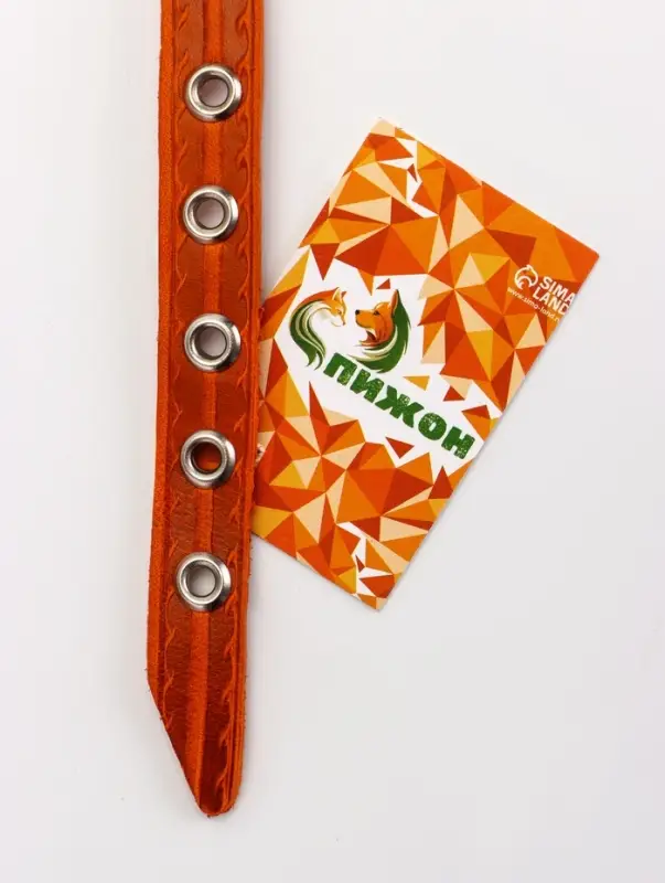 Ошейник кожаный однослойный украшенный, 1,2 см, ОШ 20-26 см микс цветов