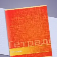 Тетрадь 48 листов в линейку Calligrata &laquo;Цвет и графика&raquo;, обложка мелованная бумага, блок №2, белизна 75% (серые листы), МИКС