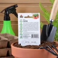 Семена Арбуз "Скорик", ц/п,  1 г  серия ХИТ х3