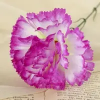 Цветы искусственные &laquo;Гвоздика&raquo;, h=37 см, d=7 см, сиреневые