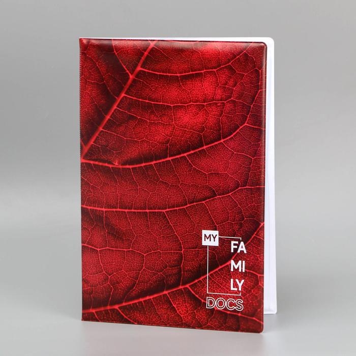 Папка для семейных документов &laquo;Docs&raquo;, 8 файлов А4