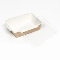 Контейнер с плоской крышкой, крафт, 0,5 л, 16 х 12 х 4,5 см