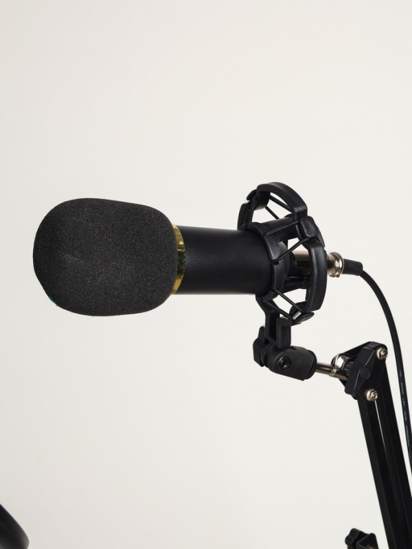 Микрофон конденсаторный Music Life золотой: кабель, ветрозащита, стойка