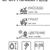Семена Астра "Джувел Гранат", ц/п,  однолетняя 0,05 г
