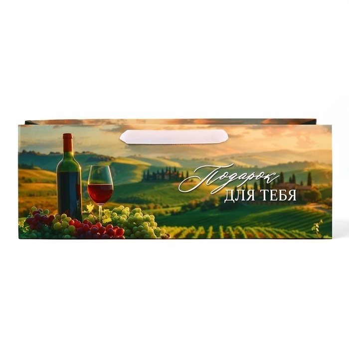 Пакет под бутылку горизонтальный &laquo;Подарок для тебя&raquo;, 36 &times; 10 &times; 13 см
