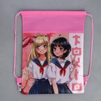 Мешок для обуви &laquo;Школьницы&raquo; полиэстер, размер 30 х 40 см