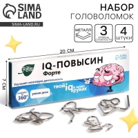 Набор головоломок &laquo;IQ-повысин&raquo;, 4 шт.