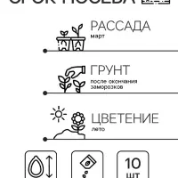 Семена цветов Катарантус "Казанова", 10шт