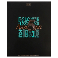 Комплект предметных тетрадей 48 листов, 12 предметов Hatber &laquo;Салют предметов&raquo;, обложка мелованный картон, матовая ламинация, 3D-лак, тиснение фоль�...