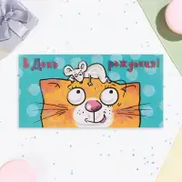 Конверт для денег "В День Рождения!" кот с мышкой, 17 х 9 см
