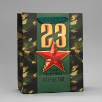 Пакет подарочный ламинированный вертикальный, упаковка, &laquo;С 23 февраля&raquo;, MS 18 х 23 х 10 см