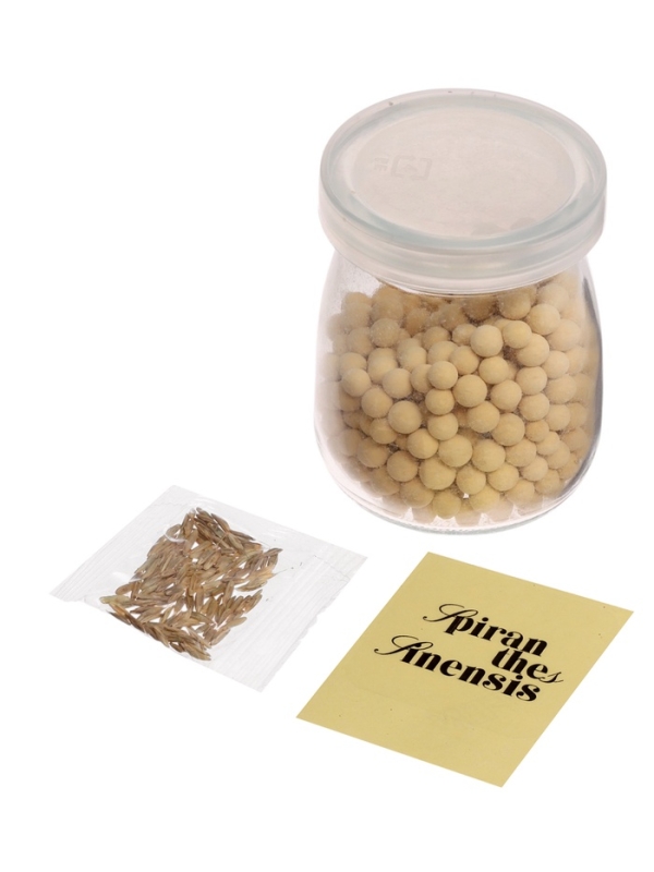 ЭВРИКИ Набор для опытов "Выращиваем травку", оранжевый