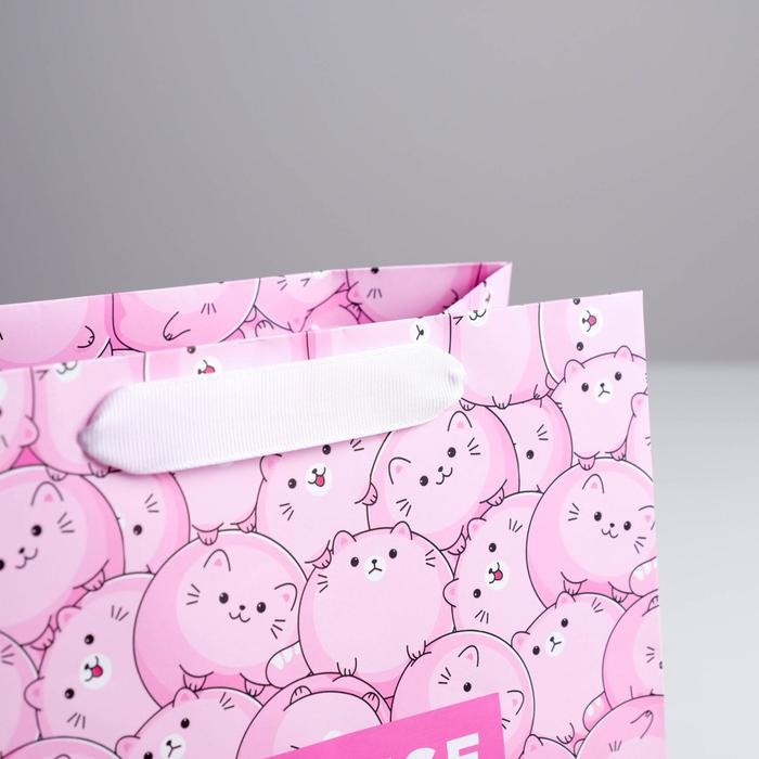 Пакет подарочный ламинированный квадратный, упаковка, Surprise, 22 х 22 х 11 см