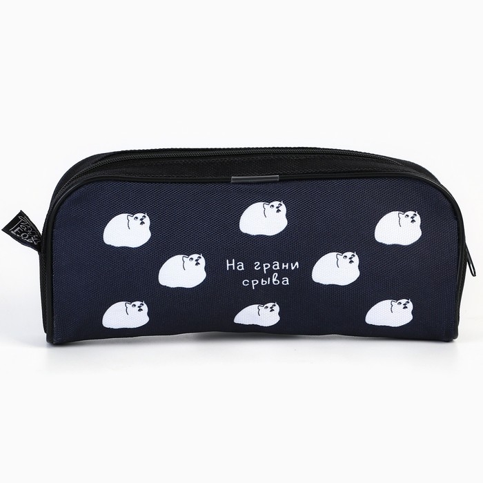 Пенал школьный текстильный &laquo;1 сентября: На грани срыва&raquo; Кот, 20 х 8 х 4 см