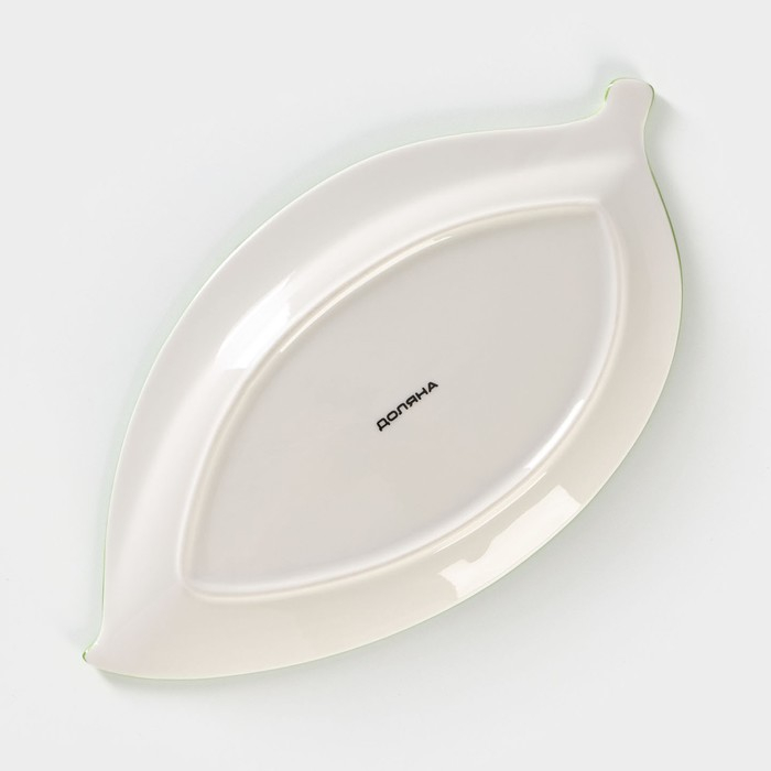 Блюдо фарфоровое Доляна &laquo;Зелёный сад&raquo;, 28&times;14,5&times;2 см, цвет белый