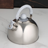 Чайник со свистком из нержавеющей стали Доляна &laquo;Мрамор&raquo;, 3 л, фиксированная ручка, цвет хромированный