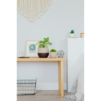 Горшок &laquo;Дуэт&raquo;, 500 мл, цвет кофе с молоком