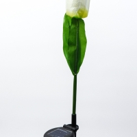 Штекер с подсветкой "Тюльпан" белый, 8х70см