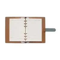 Органайзер на кольцах, C6, с хлястиком, 80л, линия, к/зам, Зеленый