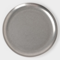 Тарелка d=26см h=1,5 см, 201 сталь