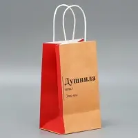 Пакет подарочный крафтовый, упаковка, &laquo;Душнила&raquo;, 12 х 21 х 9 см