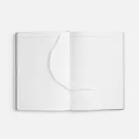 Ежедневник Nebraska Flex, недатированный, белый с золотистым