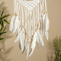 Ловец снов &laquo;Амулет&raquo;, 22&times;75 см