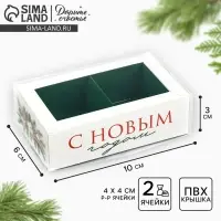 Коробка под 2 конфеты с ячейками &laquo;Новогодняя ботаника&raquo;, 10 х 6 х 3 см
