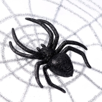 Декор &laquo;Паутина&raquo;