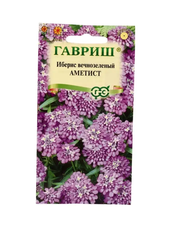 Семена цветов Иберис Аметист 0,1 г DH