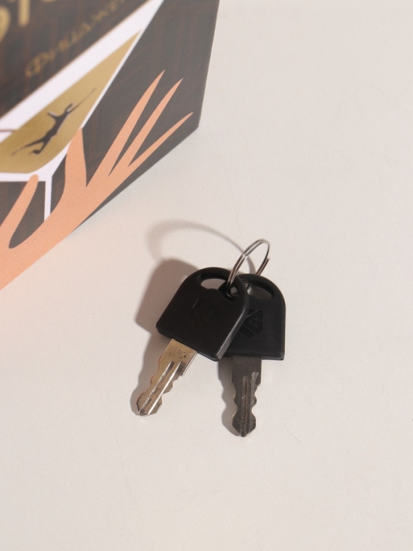 Сейф-книга дерево кожзам "Ф.С. Фицджеральд. Великий Гэтсби" тиснение 21х13х5 см